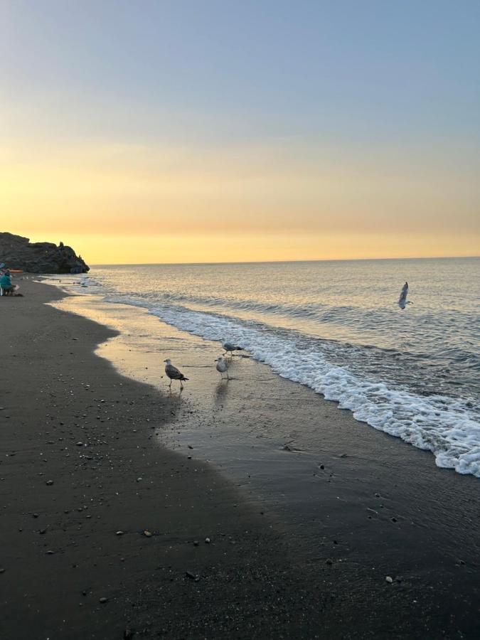 Oasis Spacieux Proche De La Plage เวดลาอู ภายนอก รูปภาพ